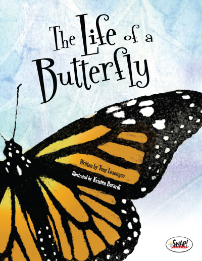 The Life of a Butterfly