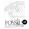 Fossils 5-Pack