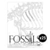 Fossils Set