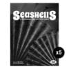 Seashells 5-Pack