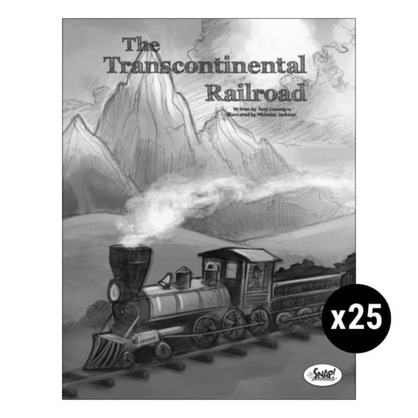 The Transcontinental Railroad Set